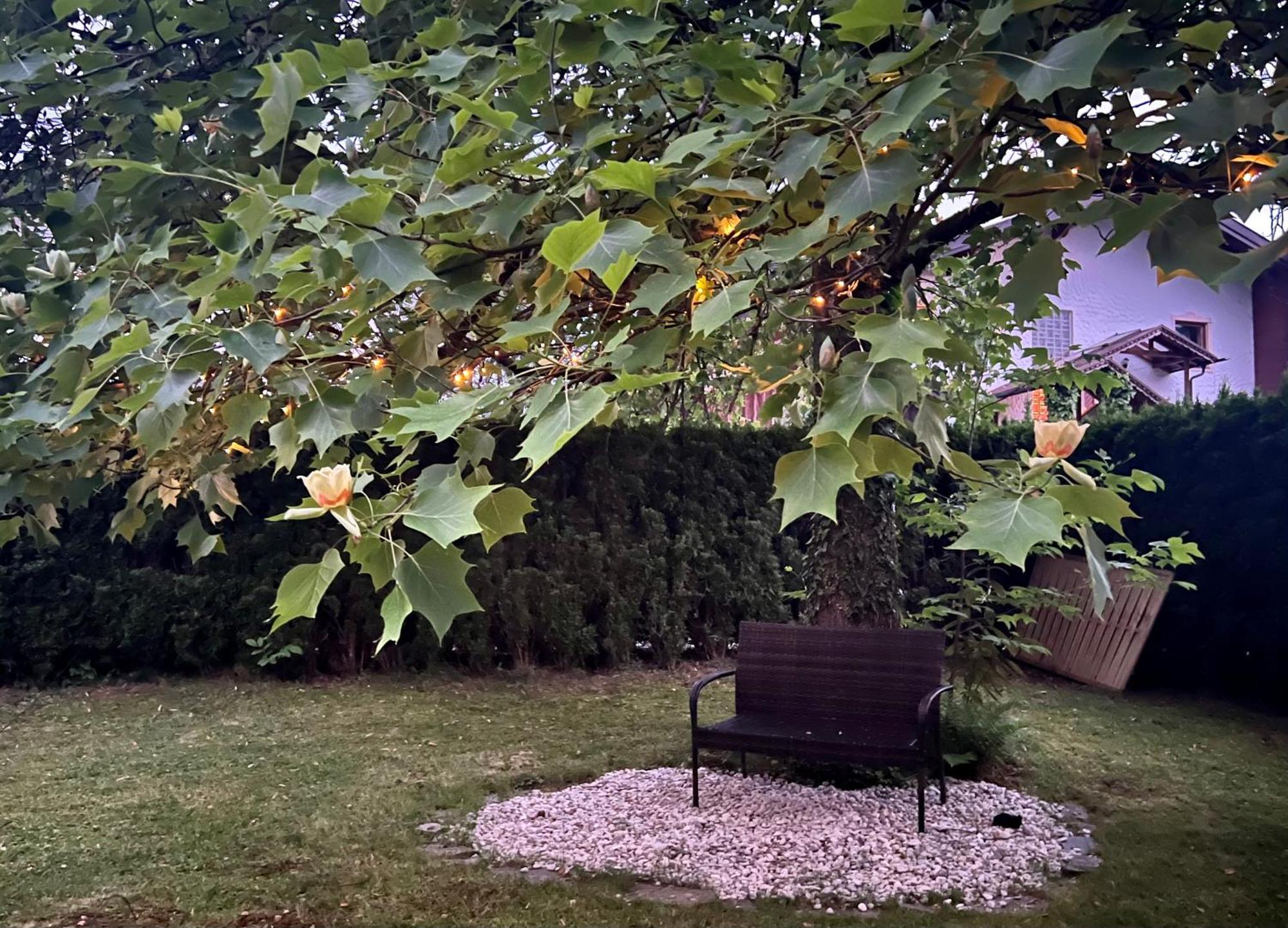 Haus Mit Garten Eugendorf Exteriér fotografie